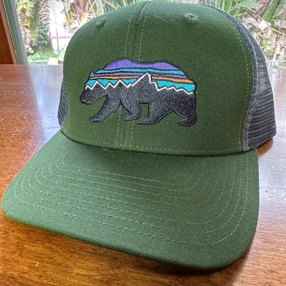 Patagonia Cap